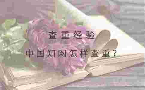 中國學術怎樣查重?