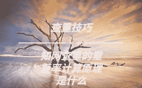 學術查重的重復率計算原理是什么